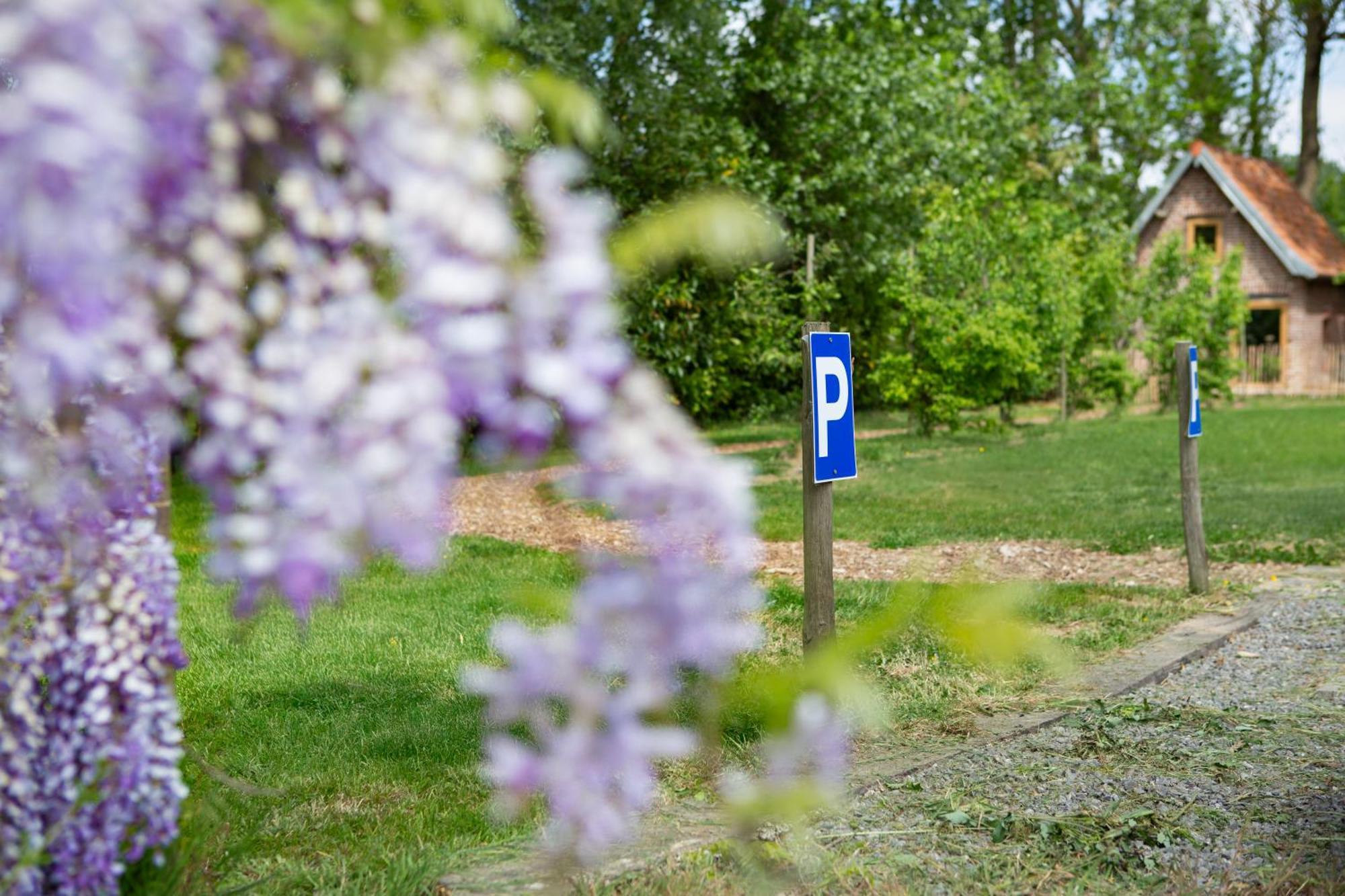 Au Pied Du Frene Villa Herzeele Buitenkant foto